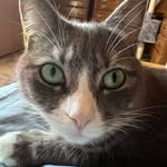 Joanne Bouchard - @joannebouchard294 - Instagram