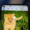 Johanne Bouchard - @johanne.bouchard2 - TikTok