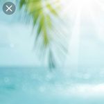 Joanne Bourque - @joanne.bourque8 - Instagram