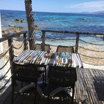 Joanne Bourque - @joannebourque6 - Instagram