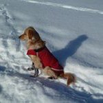 Joanne Bourque-Serré - @jbs1955 - Instagram