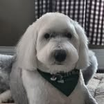 Jo Ann Boylan - @jaboylan62 - Instagram