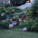 Joann Brewster - @joann.brewster - Instagram