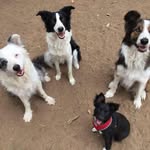 Joanne Brian Matsumoto - @matsumotojoannebrian - Instagram
