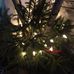 Jo-Anne Brownlee - Facebook