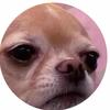 JoAnne Case - @joannecase - TikTok