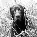 Joanne Cathcart - @joanne.cathcart.520 - Instagram