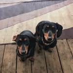 Joann 'Cheek' Sievers - @joancheek - Instagram