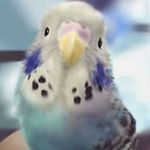Joanne Chiu - @joanne581120 - Instagram