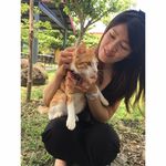 Joanne Chiu - @joanne.chiu.792 - Instagram
