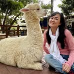 Joanne Chong - @joanne.chongml - Instagram