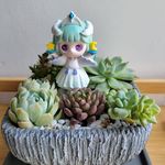 Joanne Chong - @joanne.chong.503 - Instagram