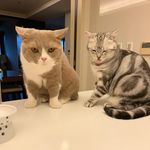Joanne Clarkson - @joanneclarkson79vzv - Instagram