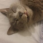 Joanne Coe - @jo.coe - Instagram
