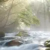 Joanne Collier - @joanne.collier2 - TikTok