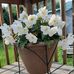 Joanne L Compton - Facebook