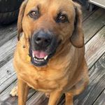 Joanne Cramer - @luvinlife_lj - Instagram