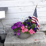 JoAnne Cramer - @ilikelife2 - Instagram