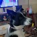 Joanne Cramer - Facebook