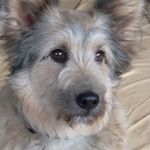 Joanne Cramer-buchanan - @joan.ne406 - Instagram