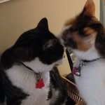 Joanne Croft - @joanne.croft61 - Instagram