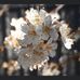 Joanne Crofts - Facebook