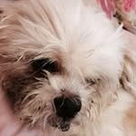Joanne Culver - @joanne.culver - Instagram