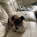 Joanne Cutler - Facebook