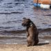 Joanne Cyr - Facebook