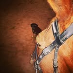 Joanne Danner - @panzer05 - Instagram