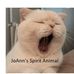 Joann Daugherty - Facebook