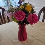 JoAnn Daugherty - @daughertyjoann - Instagram