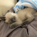 Joanne Dawson - @mumsy2_6 - Instagram
