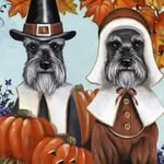 Joanne Deal Johnstonbaugh - @joannedjohn - Instagram
