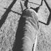 Joanne Deane - Facebook