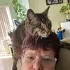 Jo - @joannedent3 - TikTok