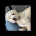 Joanne Dent - Facebook