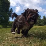 Joanne Lovelock-Dent - @jlovelockdent - Instagram