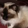 joannedenton492 - @joannedenton492 - TikTok