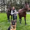 joannedenton5 - @joannedenton5 - TikTok