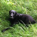 Joanne Dickson - @jdcks60 - Instagram