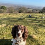 Joanne Dickson - @jet_77_19 - Instagram