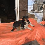 Joanne Dillon - @joanne567 - Instagram