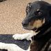 Joanne Dillon - Facebook