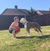 Joanne Dillon - Facebook