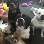 Joanne Dobson - @joannedobson11 - Instagram