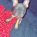 Joanne Dodson - Facebook