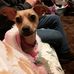 Joanne Dodson - Facebook