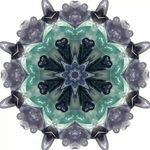 Joann Thompson Doolittle - @joanndoolittle - Instagram