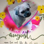 Joanne Drummond - @joannedrummond5 - Instagram